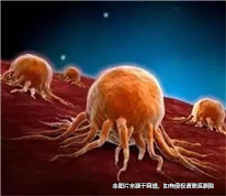 丈夫患癌妻子出走，丈夫起诉离婚