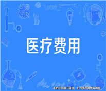 父亲去世后，儿子起诉继母偿还借给父亲的医疗费