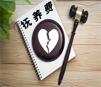 「上海离婚律师」离婚后拒绝支付孩子抚养费，法院强制执行后补回抚养费